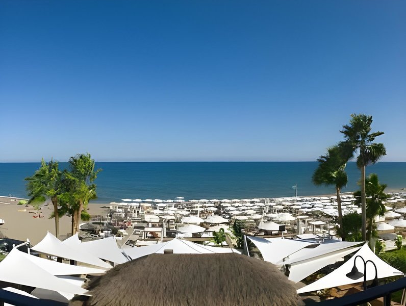 Placeholder